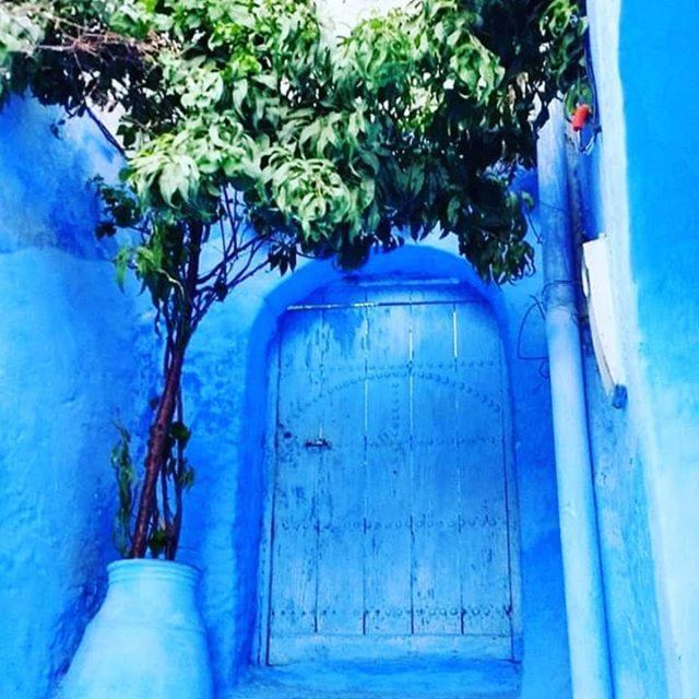 Casa Dreams Chaouen Apartment Chefchaouen Exterior photo